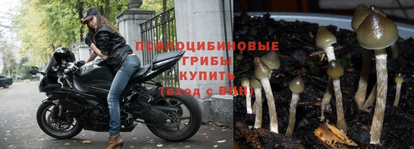 тгк Богородицк
