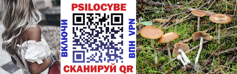 гидра ТОР  Верхняя Тура  Псилоцибиновые грибы MAGIC MUSHROOMS 